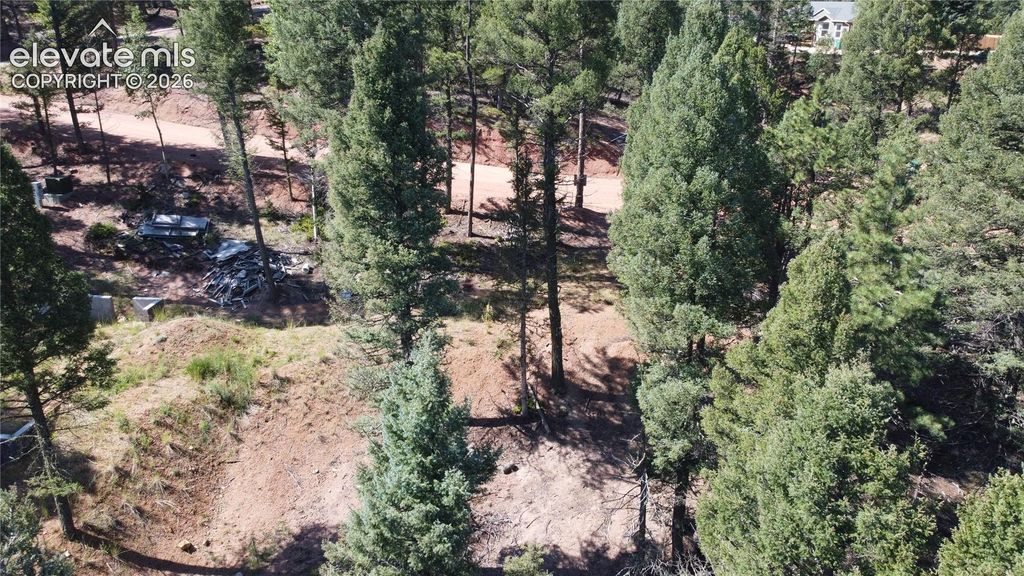 67 Gerka Lane, Florissant, CO 80816 — photo 3
