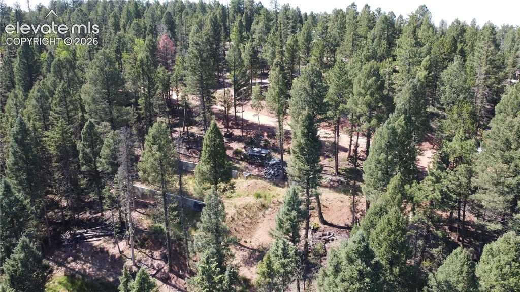 67 Gerka Lane, Florissant, CO 80816 — photo 4