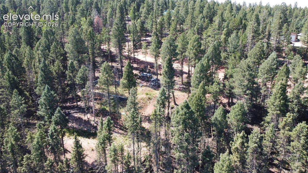 67 Gerka Lane, Florissant, CO 80816 — photo 5