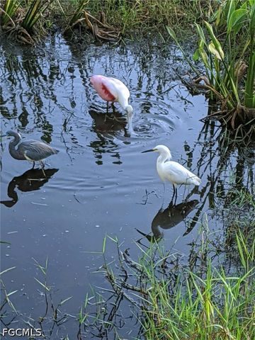 10117 Colonial Country Club BLVD 2008, Fort Myers, FL 33913