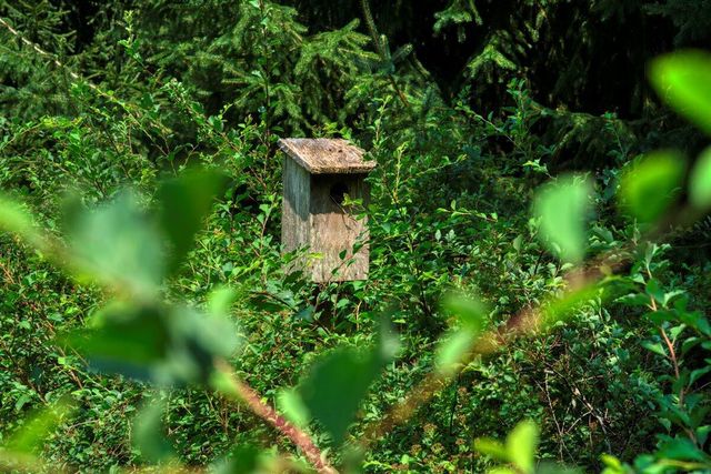 E14329 Jug Creek ROAD, La Farge, WI 54639