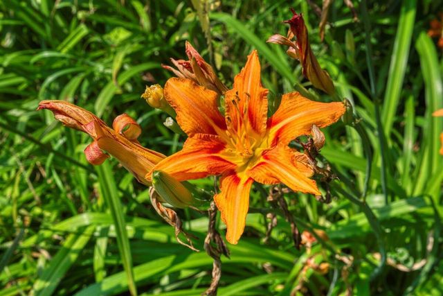 E14329 Jug Creek ROAD, La Farge, WI 54639