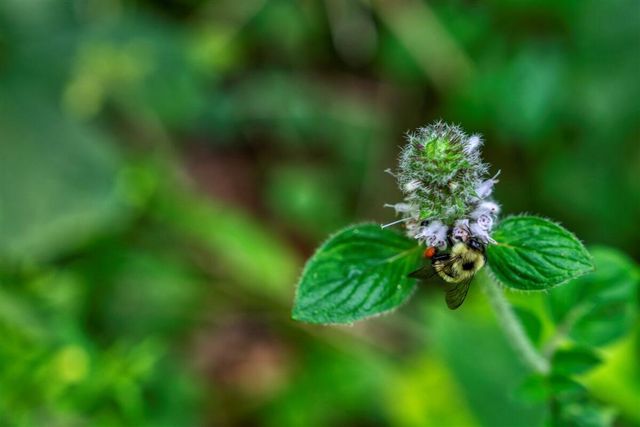 E14329 Jug Creek ROAD, La Farge, WI 54639