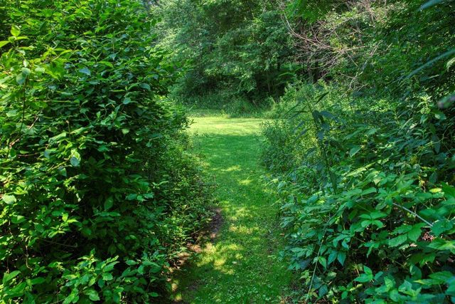 E14329 Jug Creek ROAD, La Farge, WI 54639