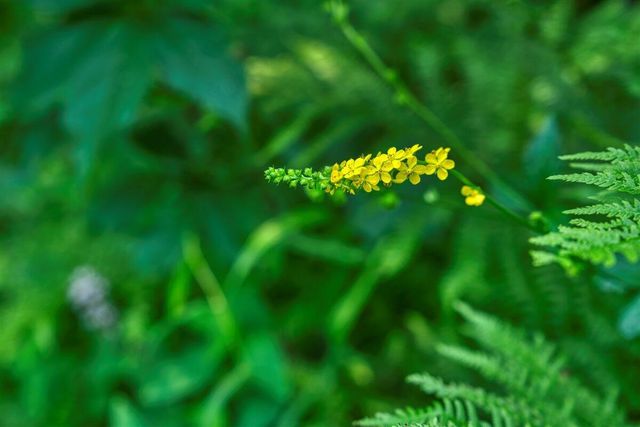 E14329 Jug Creek ROAD, La Farge, WI 54639