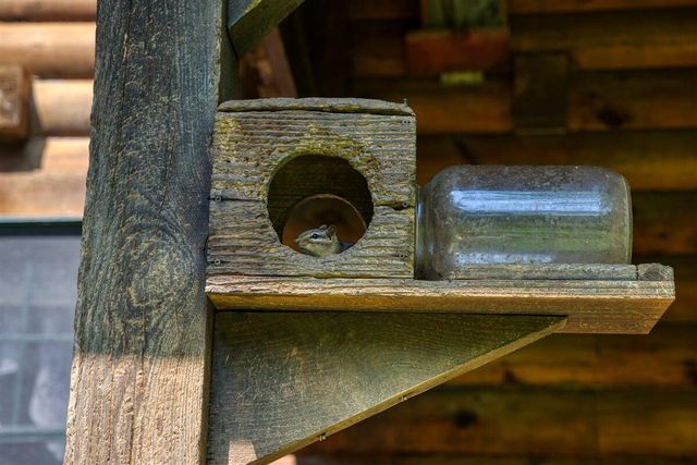 E14329 Jug Creek ROAD, La Farge, WI 54639