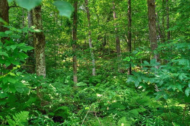 E14329 Jug Creek ROAD, La Farge, WI 54639