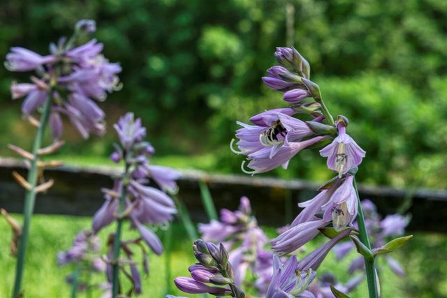 E14329 Jug Creek ROAD, La Farge, WI 54639