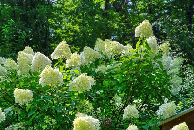 E14329 Jug Creek ROAD, La Farge, WI 54639