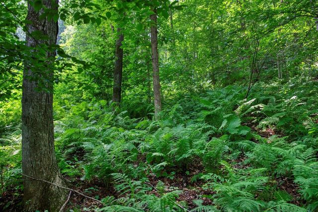 E14329 Jug Creek ROAD, La Farge, WI 54639