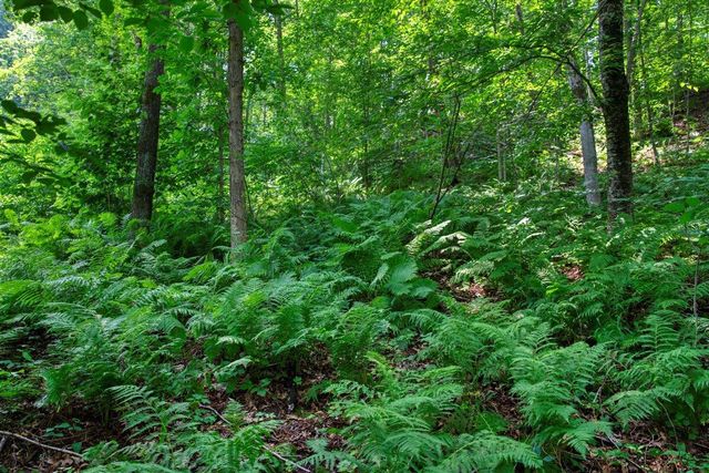 E14329 Jug Creek ROAD, La Farge, WI 54639