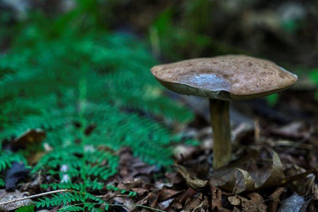 E14329 Jug Creek ROAD, La Farge, WI 54639