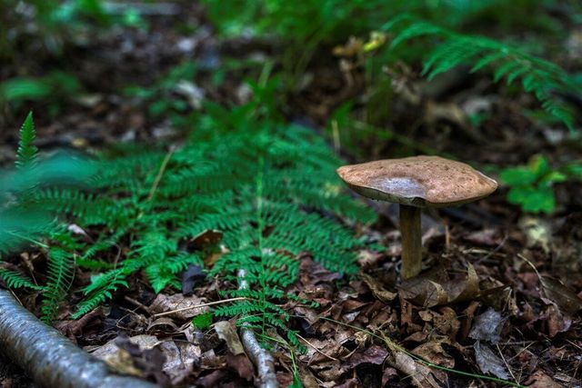 E14329 Jug Creek ROAD, La Farge, WI 54639