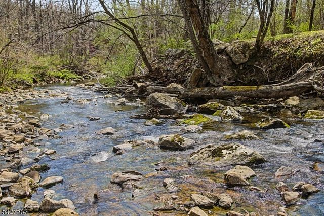 91 Red Mill Rd, Lebanon Twp., NJ 08826