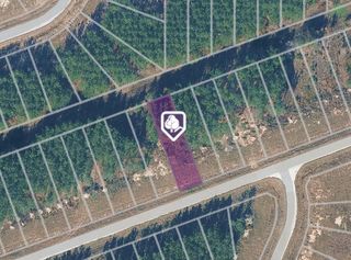 1365 Road 5890, Cleveland, TX 77327