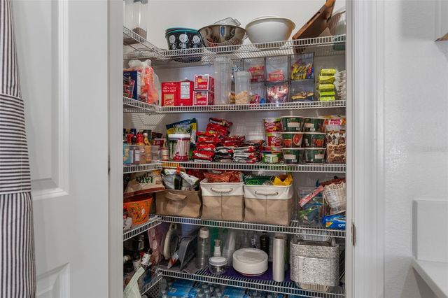 22169 CALISTO WAY, Land O Lakes, FL 34637