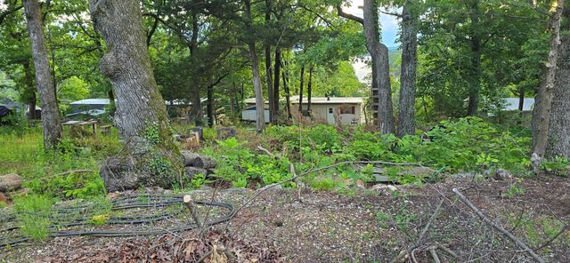 25965 Willow Road, Hermitage, MO 65668