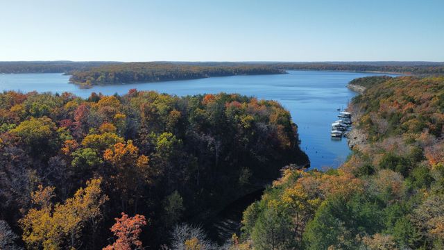 25965 Willow Road, Hermitage, MO 65668