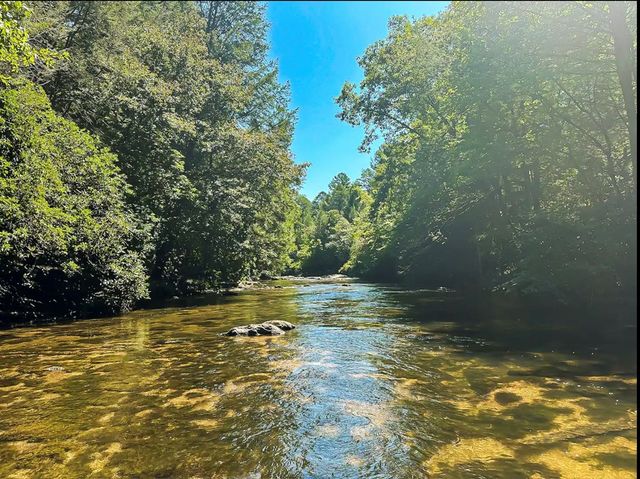 252 Branch Creek Road, Mccaysville, GA 30555