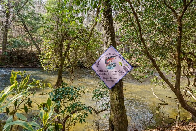 252 Branch Creek Road, Mccaysville, GA 30555