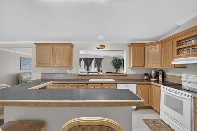 38310 PEAR COURT, Zephyrhills, FL 33542