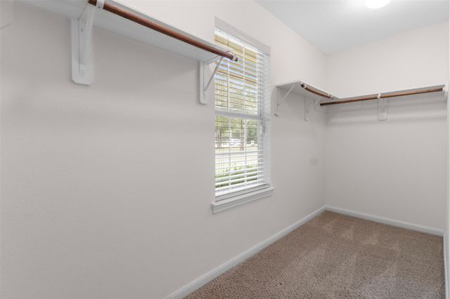 17302 Coachwhip Court, Waller, TX 77484