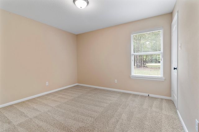 17302 Coachwhip Court, Waller, TX 77484