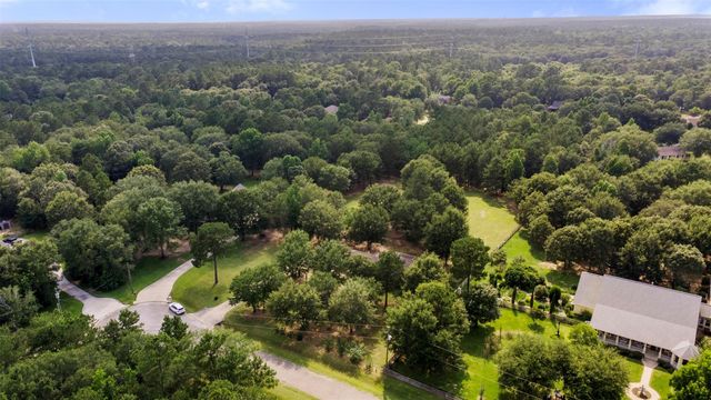 17302 Coachwhip Court, Waller, TX 77484