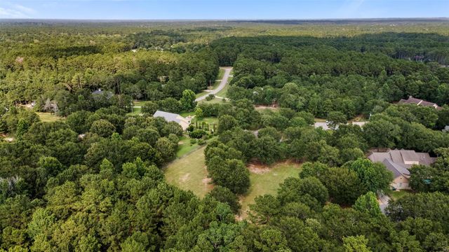17302 Coachwhip Court, Waller, TX 77484