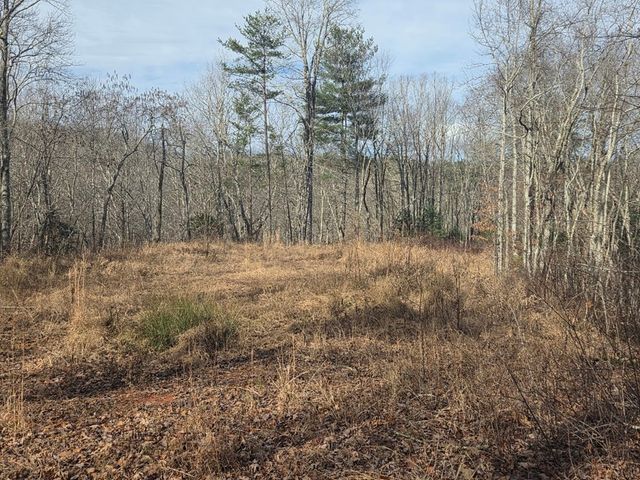 115 Calvender Road, Turtletown, TN 37391