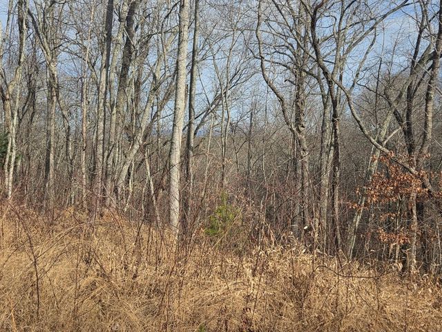 115 Calvender Road, Turtletown, TN 37391