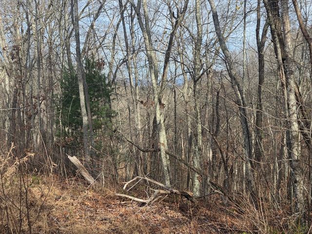 115 Calvender Road, Turtletown, TN 37391