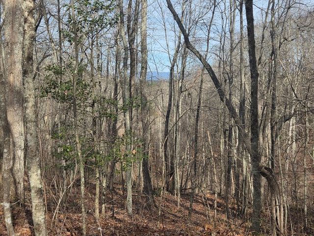 115 Calvender Road, Turtletown, TN 37391