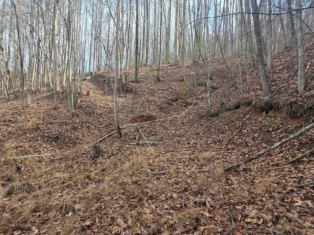 115 Calvender Road, Turtletown, TN 37391