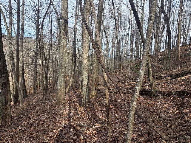 115 Calvender Road, Turtletown, TN 37391