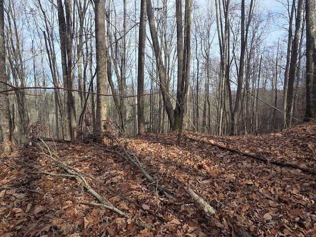 115 Calvender Road, Turtletown, TN 37391