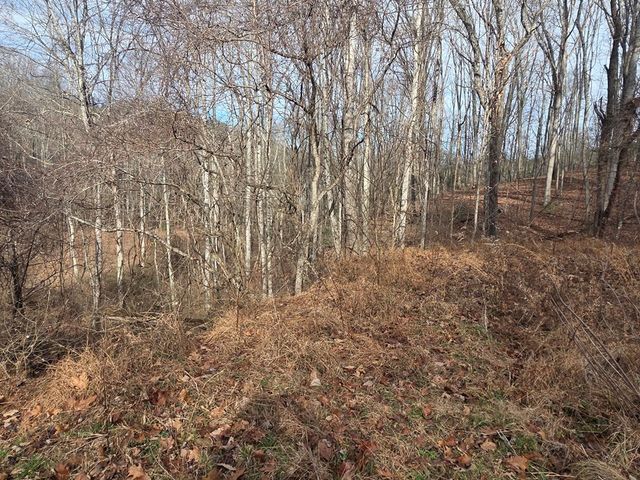 115 Calvender Road, Turtletown, TN 37391