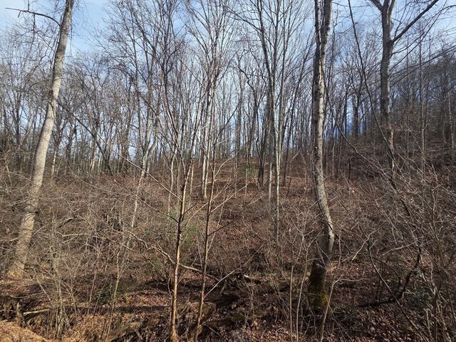 115 Calvender Road, Turtletown, TN 37391