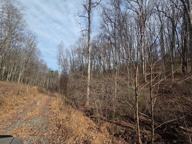 115 Calvender Road, Turtletown, TN 37391