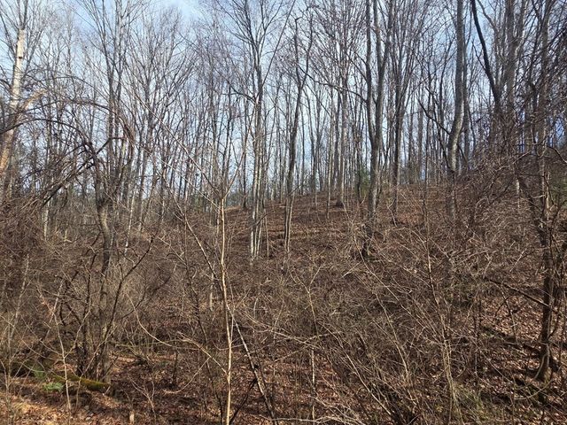 115 Calvender Road, Turtletown, TN 37391