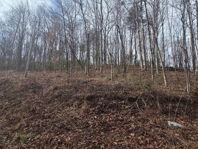 115 Calvender Road, Turtletown, TN 37391