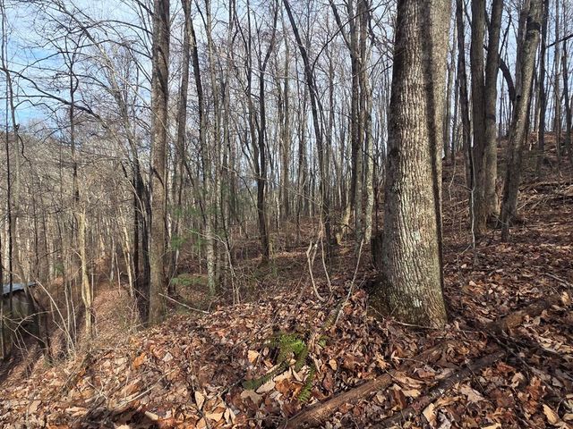 115 Calvender Road, Turtletown, TN 37391