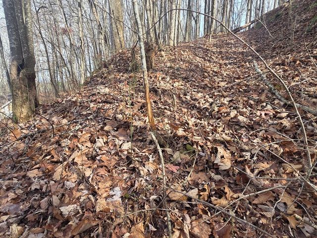 115 Calvender Road, Turtletown, TN 37391