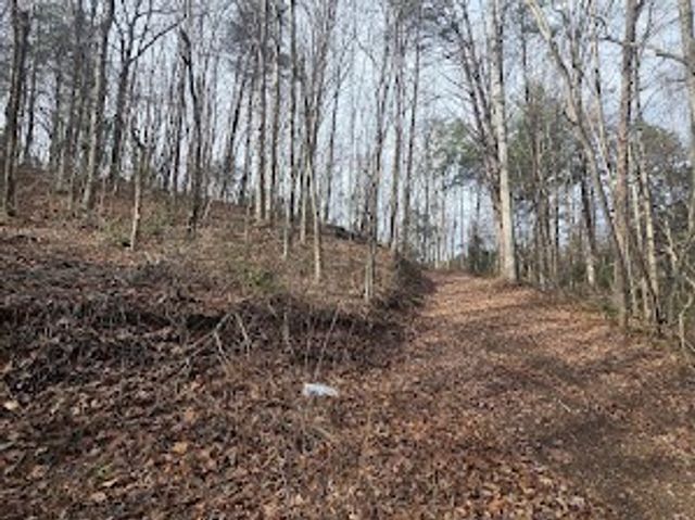 115 Calvender Road, Turtletown, TN 37391