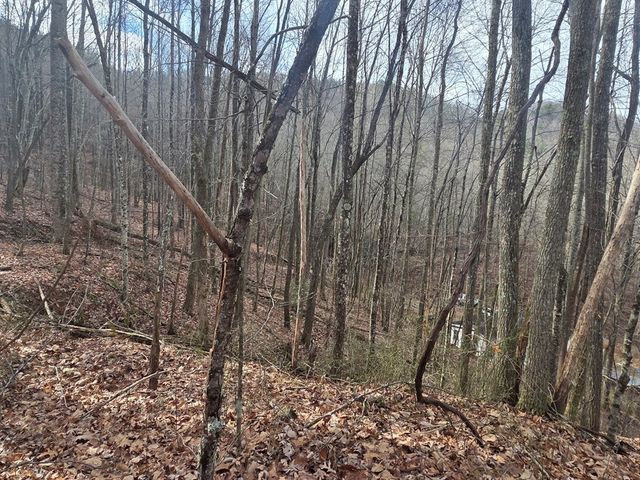 115 Calvender Road, Turtletown, TN 37391