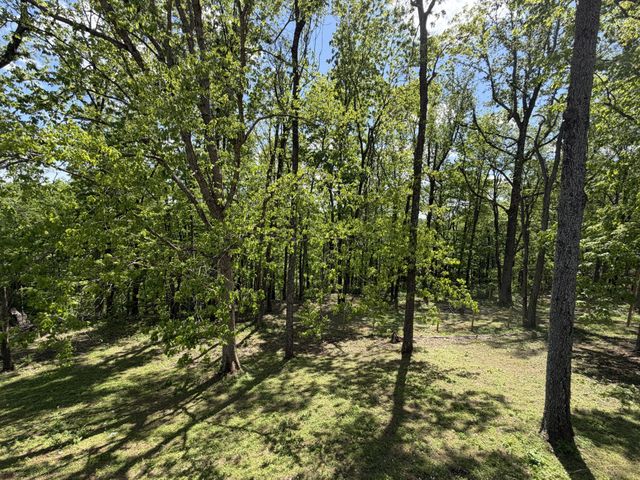 159 W Hester Rd, Cottontown, TN 37048