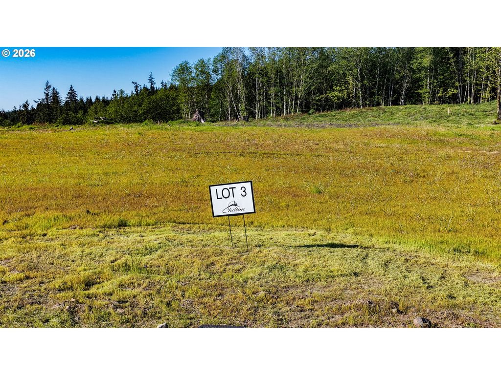 0 Carmen Sylvia Dr Lot 3, Kalama, WA 98625