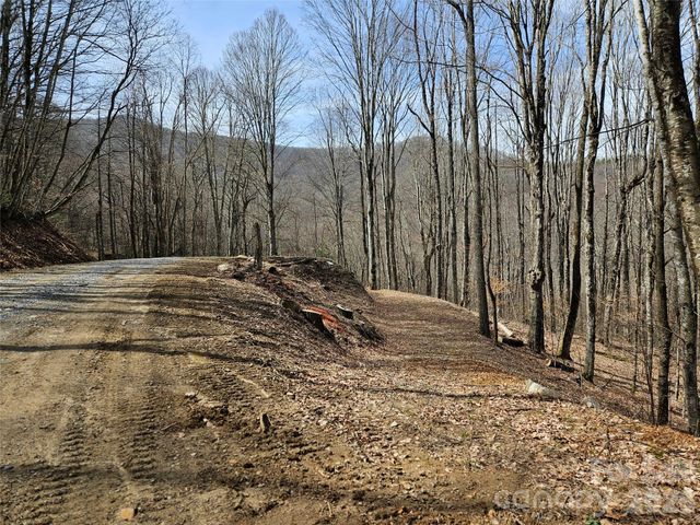 000 Forbidden Cove, Waynesville, NC 28785