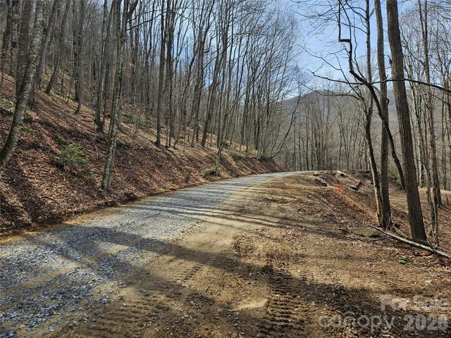 000 Forbidden Cove, Waynesville, NC 28785