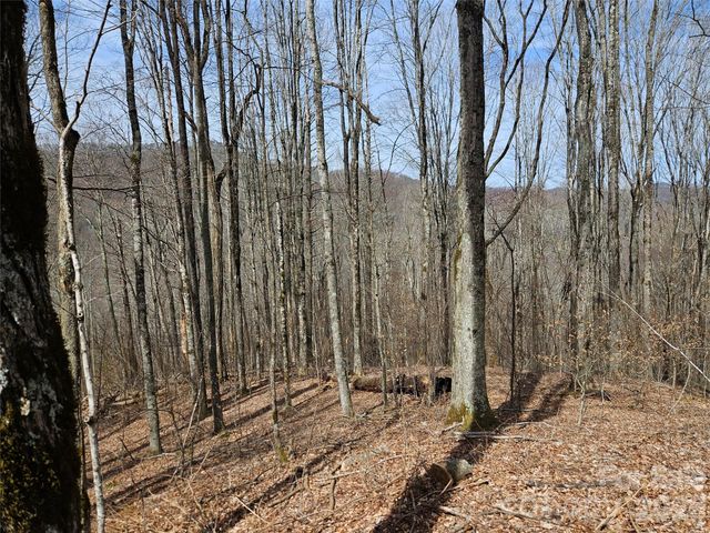 000 Forbidden Cove, Waynesville, NC 28785